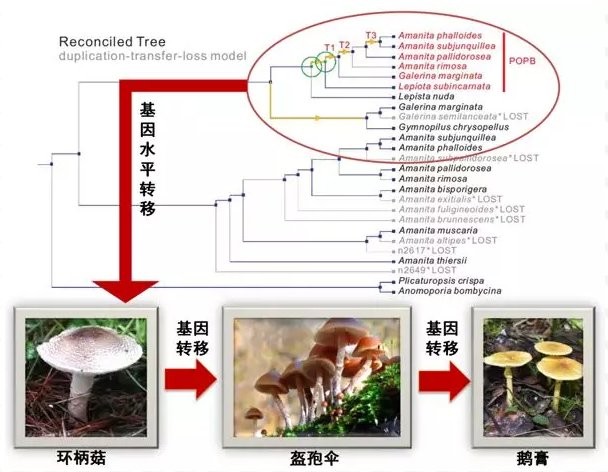 圖片關鍵詞