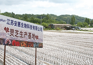 長白山生產基地